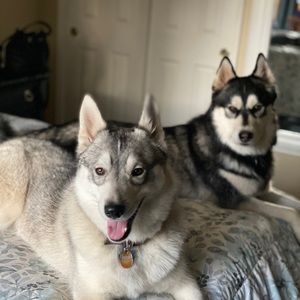 Meet your Posher, Hector miguel